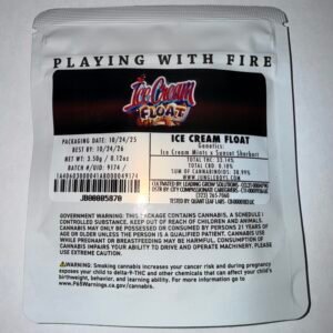 Jungle Boys "Ice Cream Float"