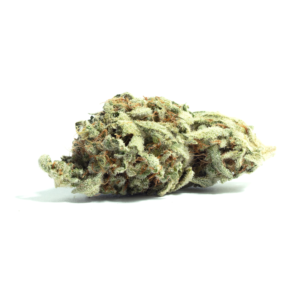 Shangri-La (Hybrid) Limited Quantity